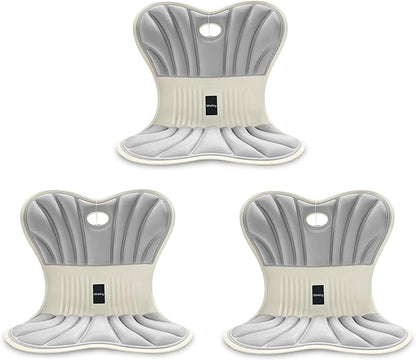 Posture Support Cushion - Lumbar & Back Support for Office Chair, Car Seat, Sofa, Ergonomic Chair & Back Cushion Back Support (03)
