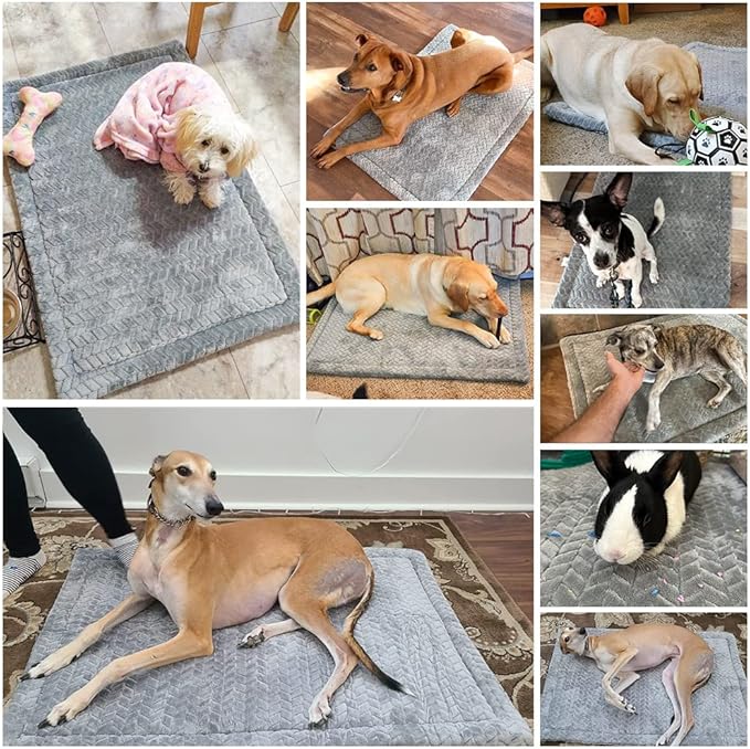 BEAUTYZOO Dog Bed Crate Pad 36 x 24 inch, Washable Dog Crate Mat for Large Sized Dogs, Anti-Slip Pet Crate Bed Kennel Pad, Durable Cozy Puppy Sleeping Mat Rectangle Mattress, Grey