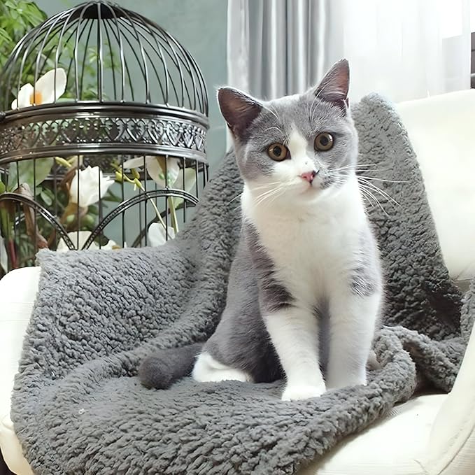 FurryBaby 1 Pack 2 Pet Blankets for Small Dogs and Cats - Super Soft Premium Sherpa, Washable Fleece Dog and Cat Blankets (24"x32", Grey)