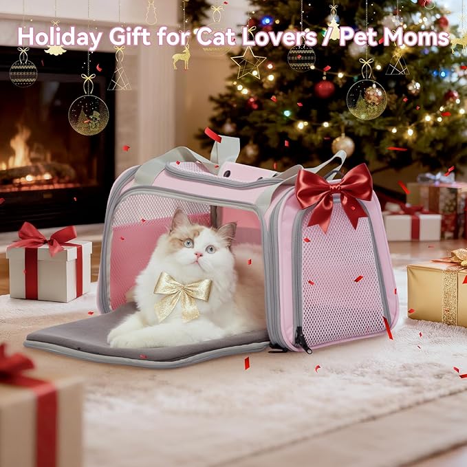 Airline Approved Cat Carrier 17.5×10.5×10.5 in, Escape-Proof Design with Locking Zippers & Safety Leash, Easy-Access 3-Way Entry, Washable Mat, Gift-Ready Holiday Choice for Cats up to 12 lb