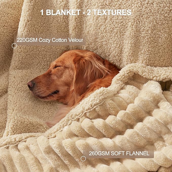 AIPERRO Waterproof Dog Blanket for Large Dogs, Washable Soft Puppy Cat Blanket Flannel Cotton Velour for Sofa Couch Protector, Comfort & Security Reversible Bed Protection for Pet, 60"X80", Khaki