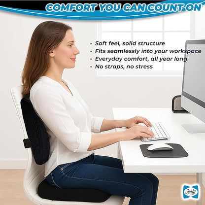 Sealy Memory Foam Car 2-Pack Seat Cushions – Ergonomic Cushions for Tailbone Pain Relief, Ideal for Office Chairs, Car Seats and Gaming Chairs, Premium Cushions Offering Superior Comfort and Support