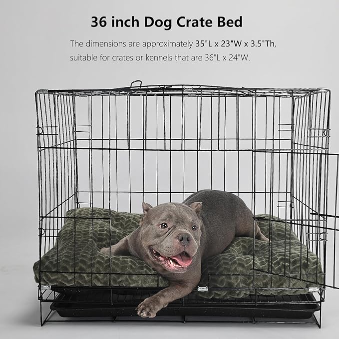 Necesitar 36inch Dog Crate Bed for Medium Large Dogs Washable Ultra Soft and Fluffy Kennel Pad with Anti-Slip Pet Pillow Cushion Sleeping Up to 70 lbs Pets,36x24 Olive Green