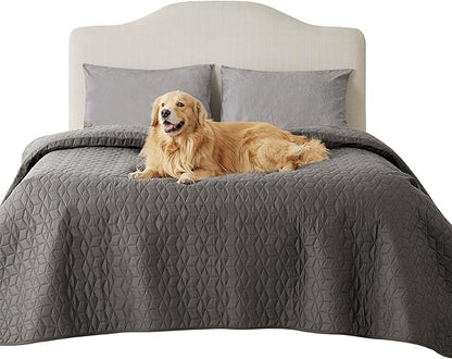 Bedsure 100% Waterproof Bed Cover for Dogs Washable - Non Slip Waterproof Dog Blanket for Bed, Lightweight Furniture Protector Durable for Pet Puppy with Non-Slip Bottom, Dark Grey, 82x82IN