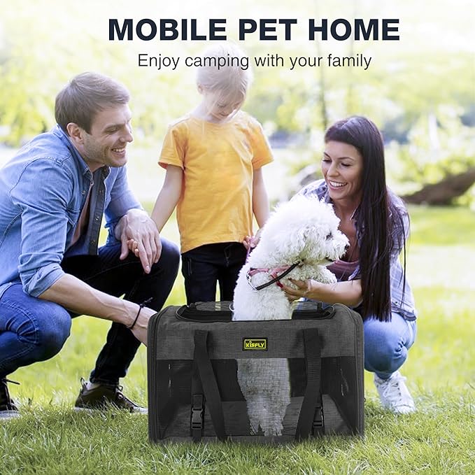 Small Dog Carrier for Puppies, Rabbits, Cat Carrier Soft, Foldable Travel Bag, Fits Pets up to 25lbs, Car Seat Belt Compatible, Ideal for Car Road Trips, Anti-Scratch Mesh, 20x13x13 in, Black