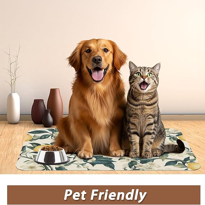 Hummingbird Dog Food Mat for Floors,Vintage Lemon Absorbent Quick-Dry Pet Feeding Mat,Cat Dog Bowl Mats for Food and Water,Non-Slip Pet Accessories Supplies 16"x24"
