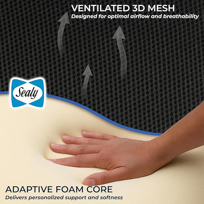 Sealy Memory Foam Car 2-Pack Seat Cushions – Ergonomic Cushions for Tailbone Pain Relief, Ideal for Office Chairs, Car Seats and Gaming Chairs, Premium Cushions Offering Superior Comfort and Support